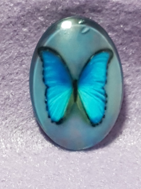 CABOCHON - 35 X 25MM GLASS OVAL - BUTTERFLIES