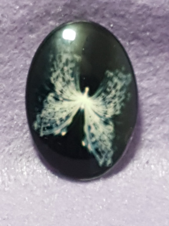 CABOCHON - 35 X 25MM GLASS OVAL - BUTTERFLIES