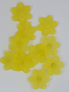 21x18.5x5MM ACRYLIC FROSTED FLOWERS - YELLOW